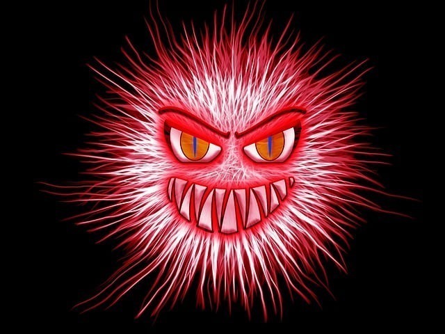 Chow Chow agresif mi? Chow Chow agresif mi?