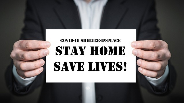 Chow Chow evde yalnız kalır mı? Chow Chow evde yalnız kalır mı?